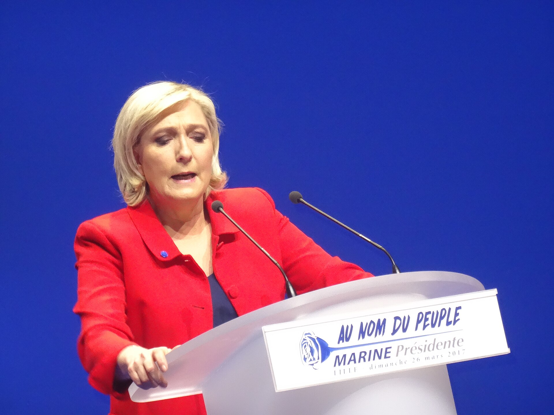 Photograph of a Marine Le Pen rally in Lille during the 2017 campaign