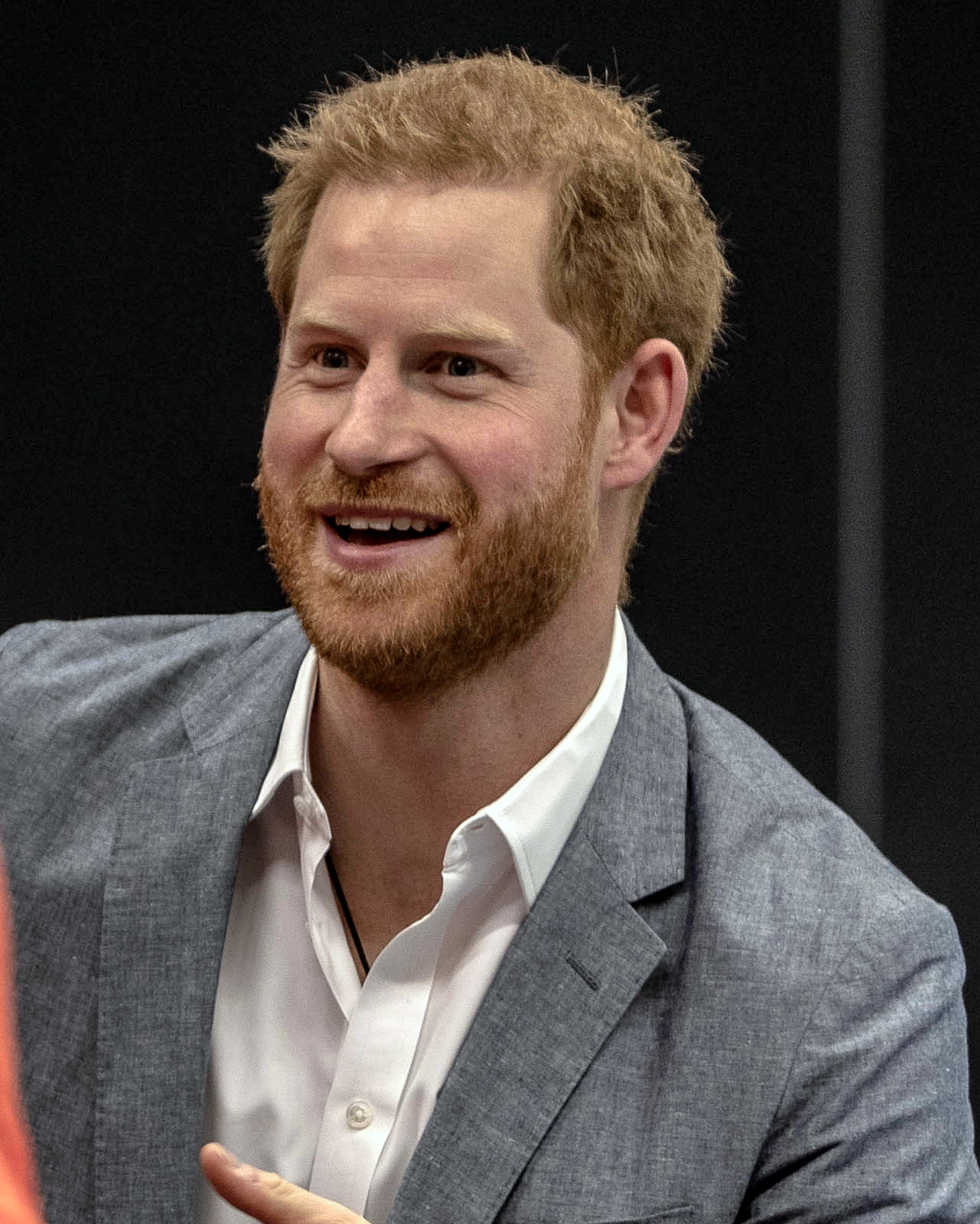Portrait of HRH The Duke of Sussex, 2019